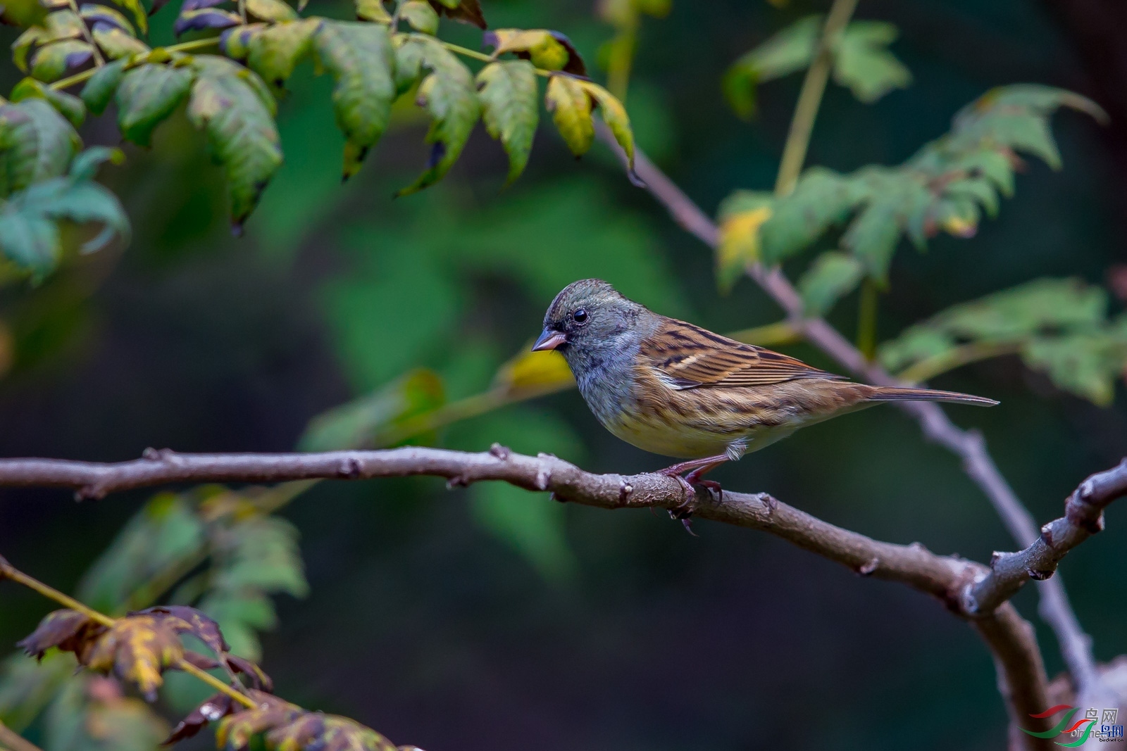 ˼��  ��ʦ����.jpg