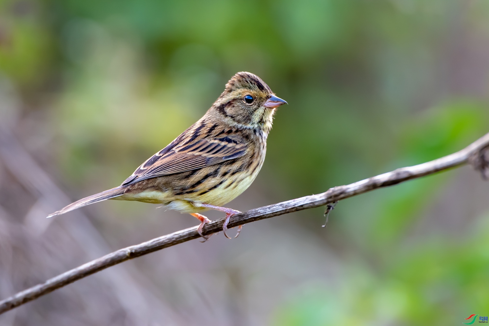 ���� ��ʦ�����ڸ���ʡ�����и�����.jpg