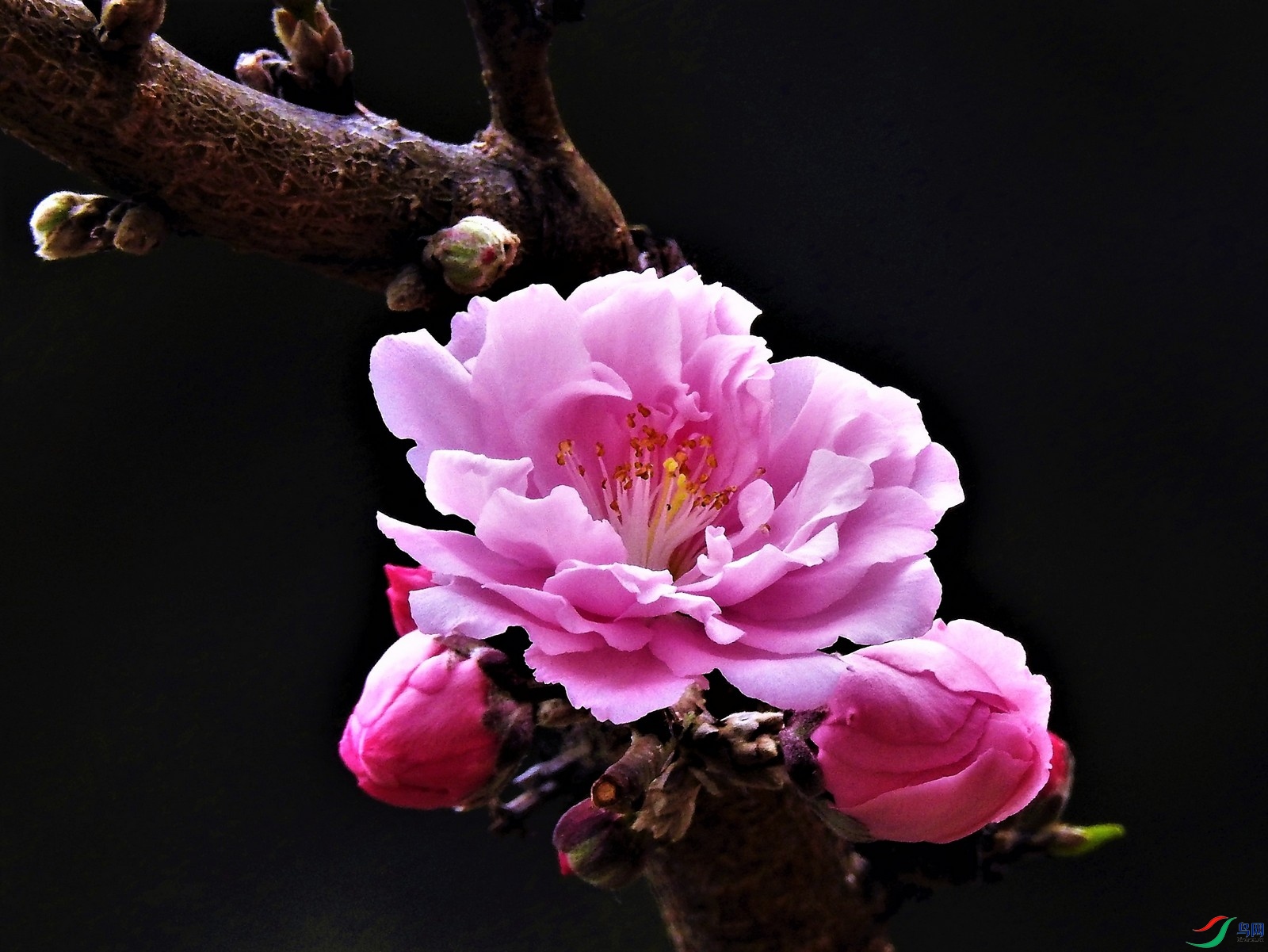 DSCN1706.JPG
