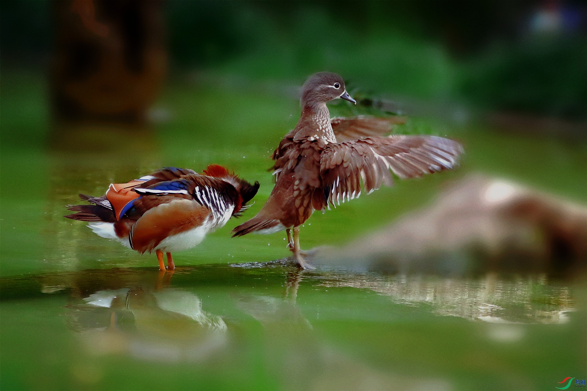 AS8I2451_����.jpg