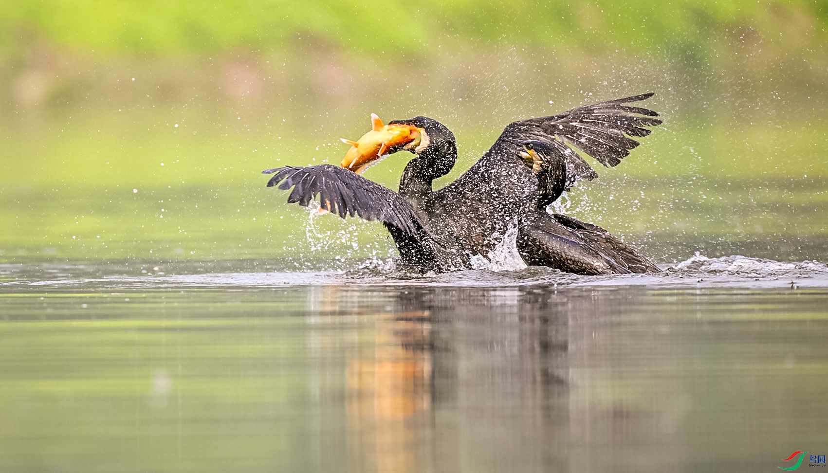 _DSC0820 - ����_����.jpg7.jpg