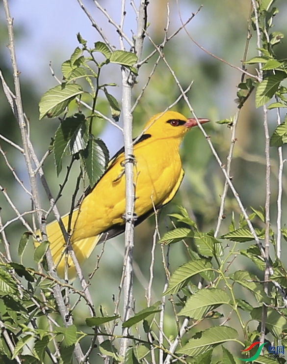 �½�130�� (7)����.jpg
