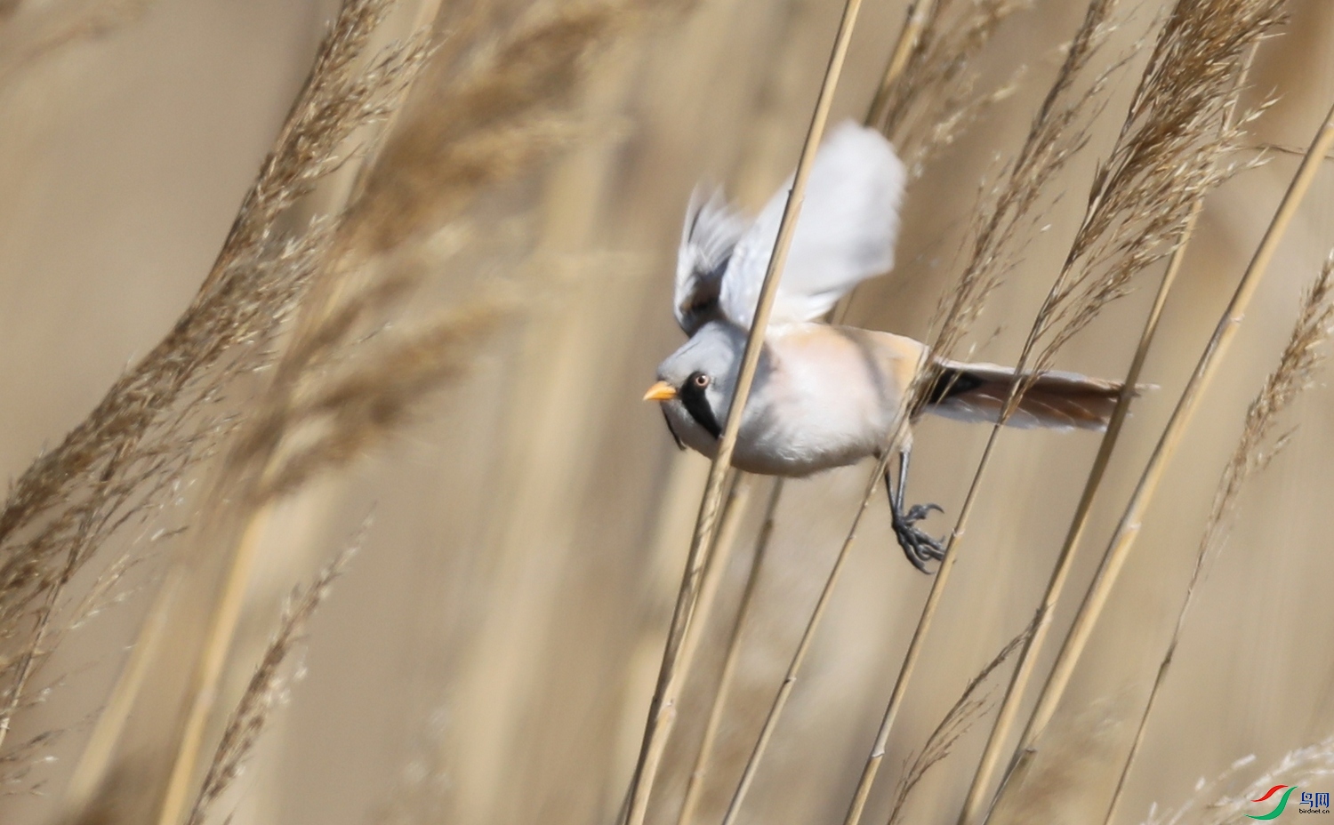 7I9A7664.jpg