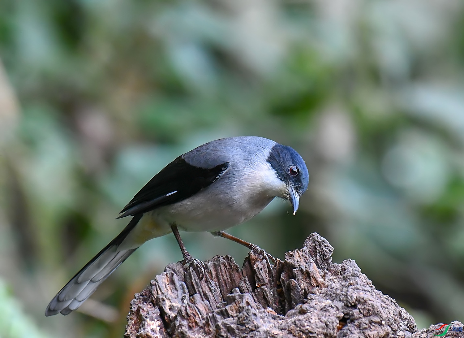 DSC_1336.jpg