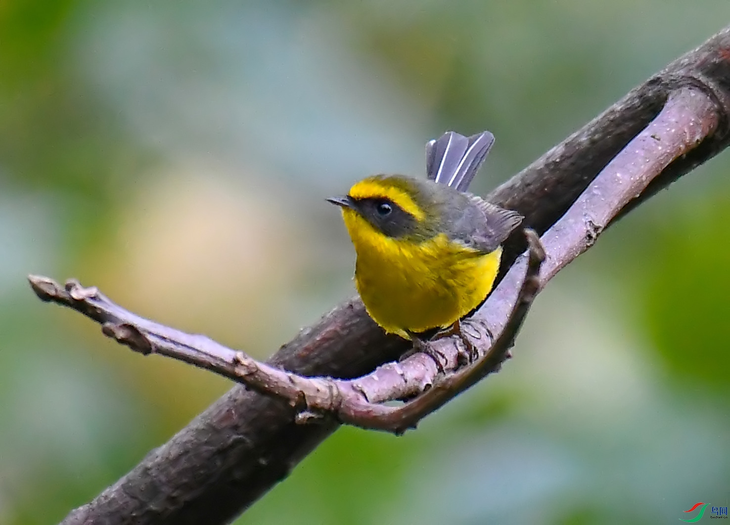 DSC_1538.jpg
