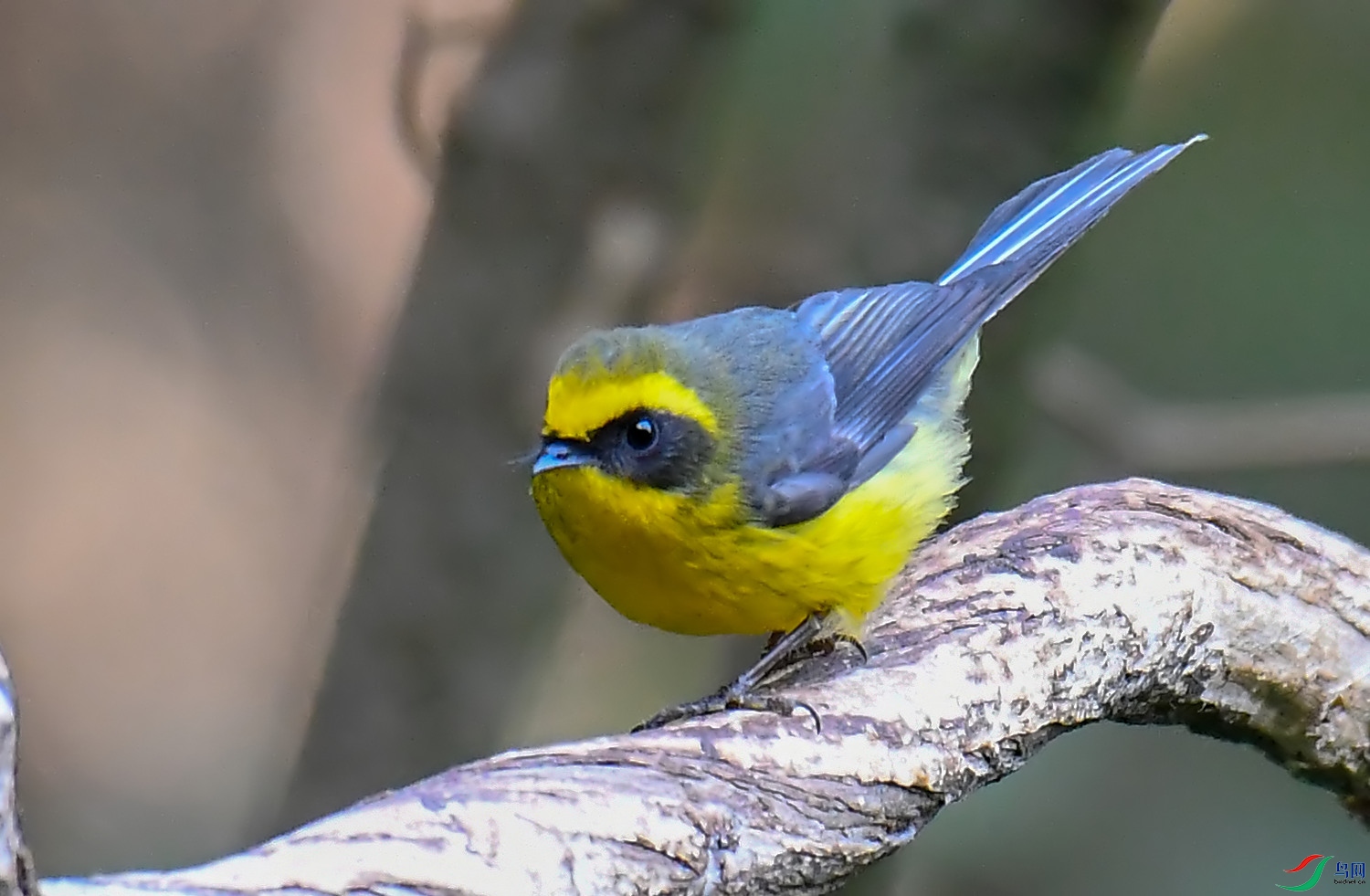 DSC_1548.jpg