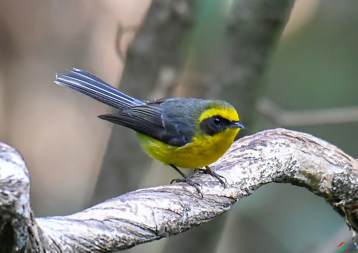 DSC_1550.jpg