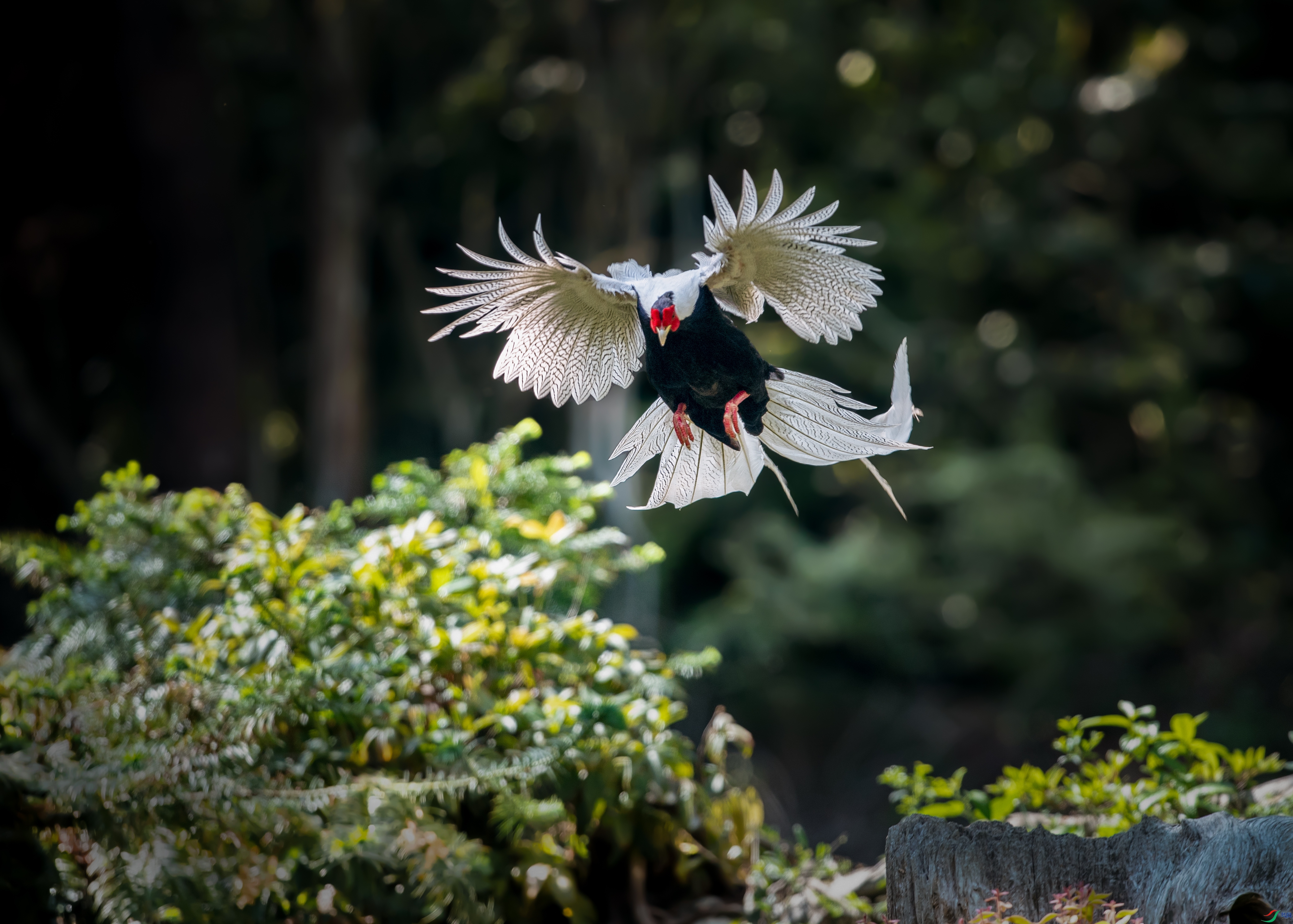 7C089601-A375-46CF-A65E-BE1FBDCF2BC6.jpeg