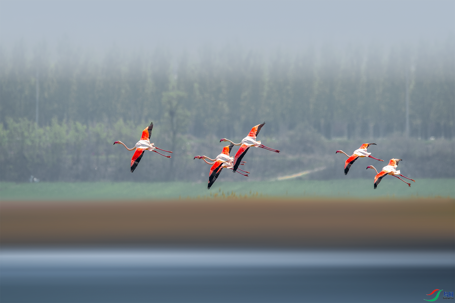 _DSC2758.png