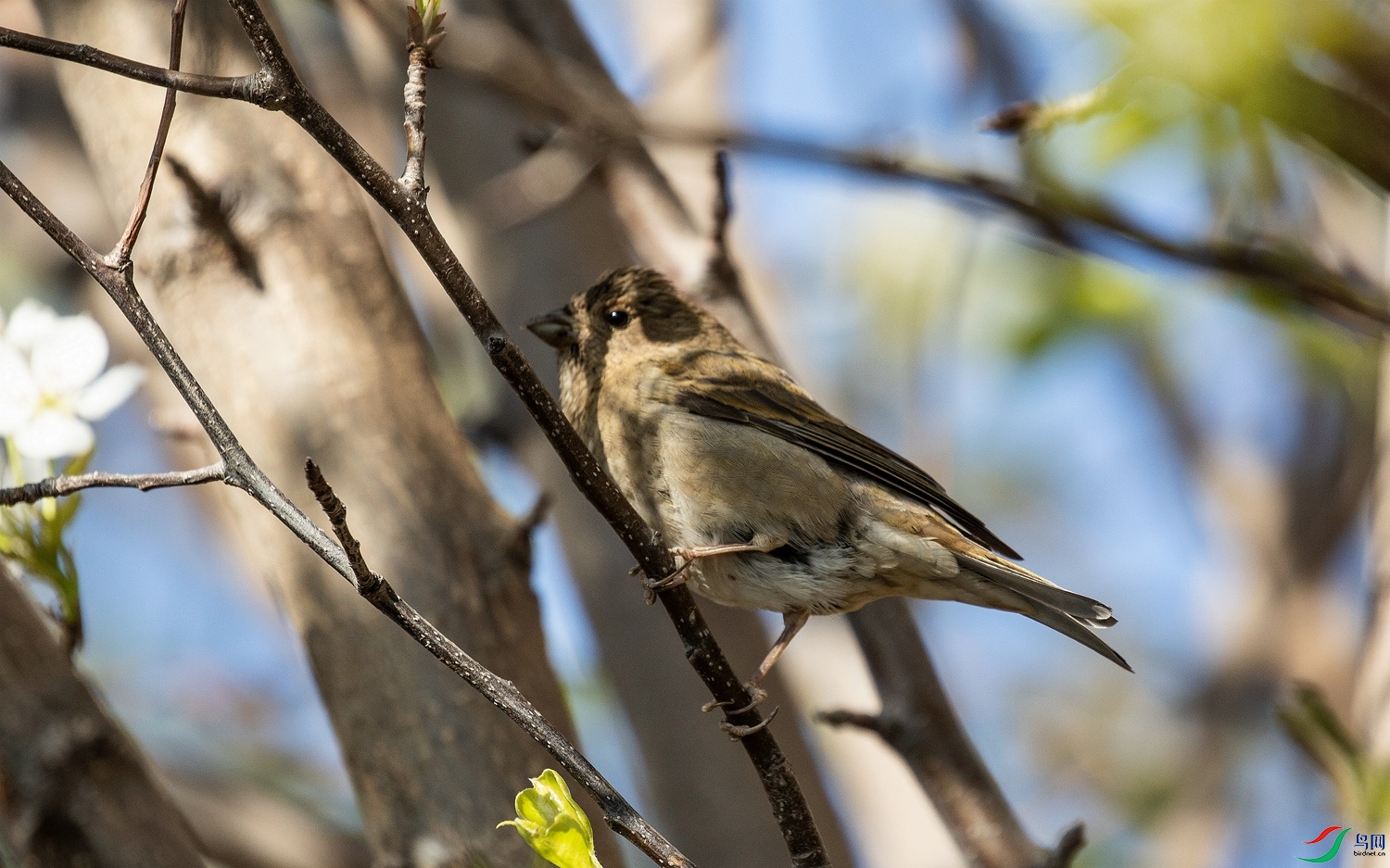 �� (2)2_����.jpg