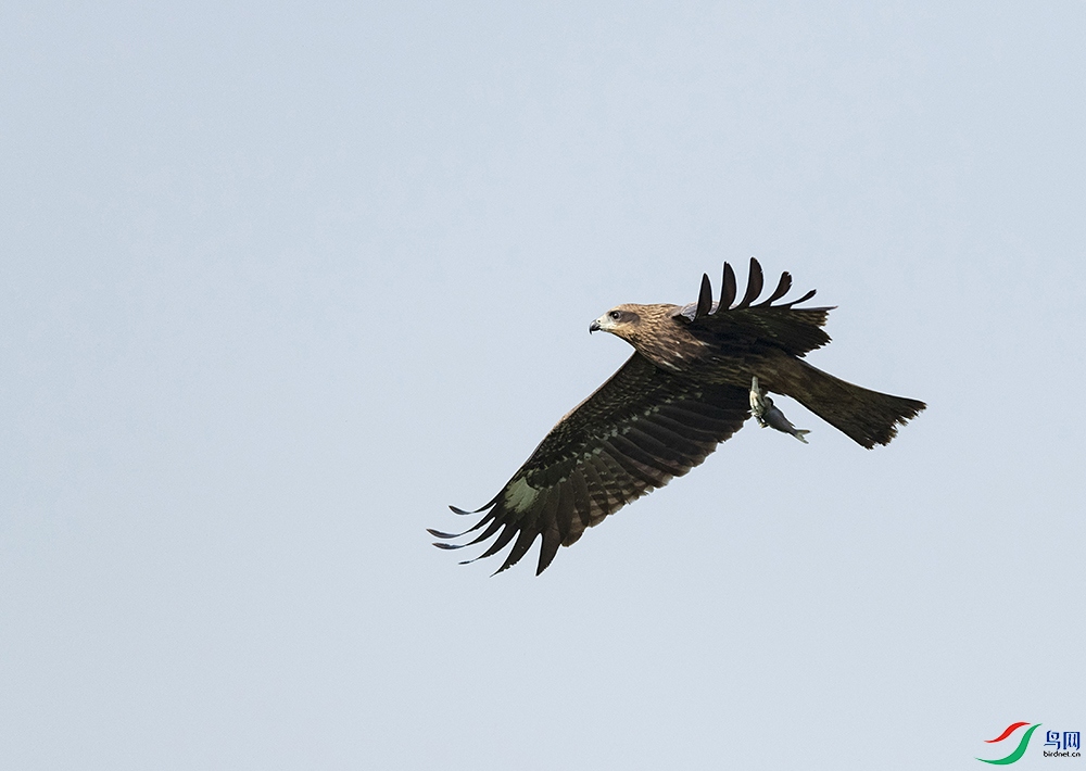 ���͵��Ϲ���հ���  ���.jpg