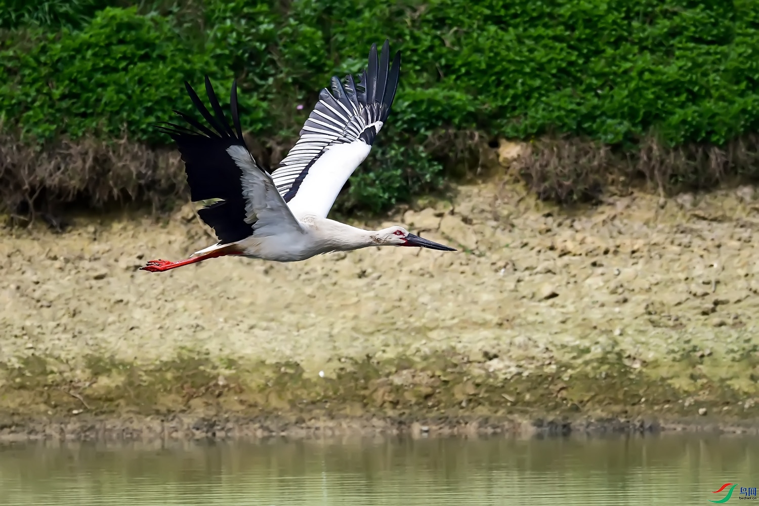 DSC_3319.jpg