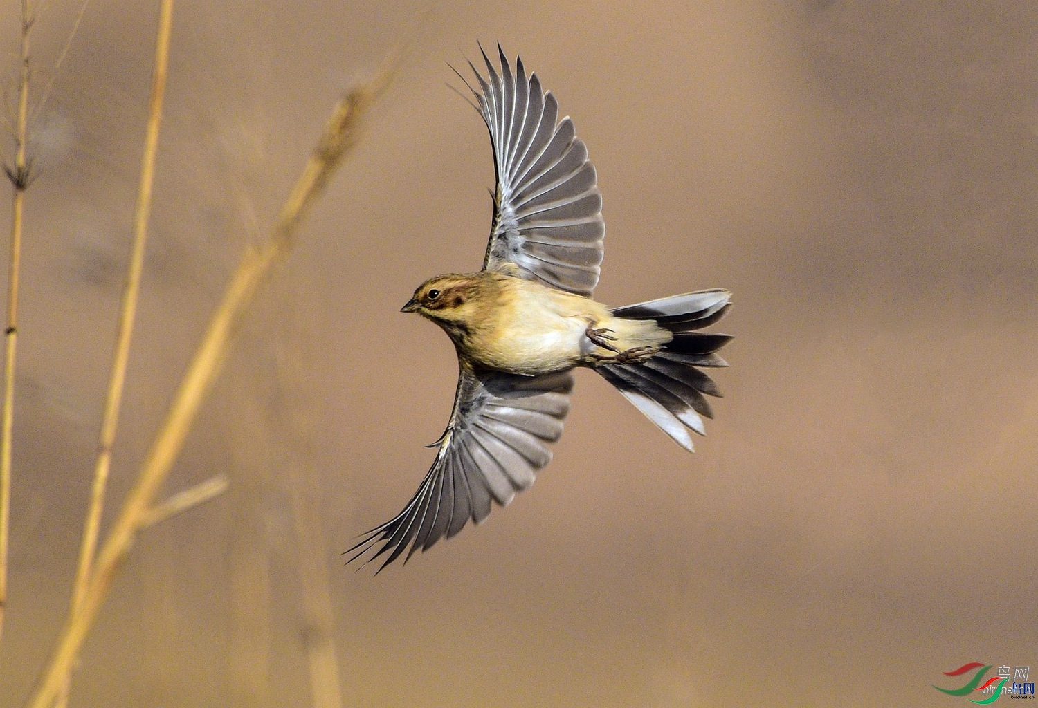 ��������  ��ʦ������������.jpg