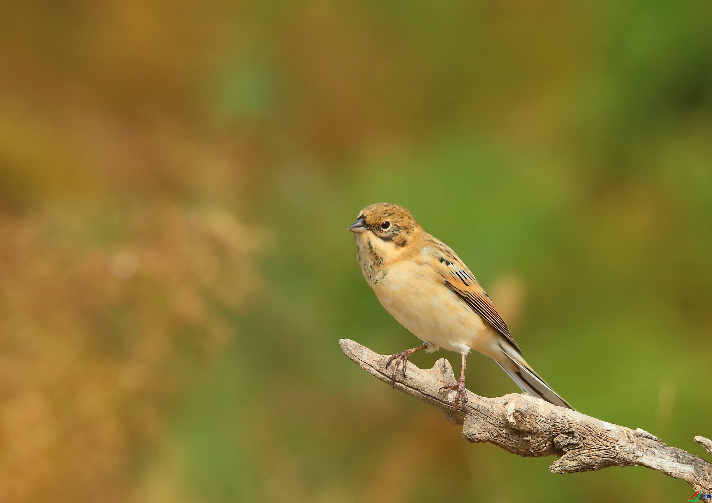 ������  ��ʦ������ɽ��ʡΫ���в�����.jpg