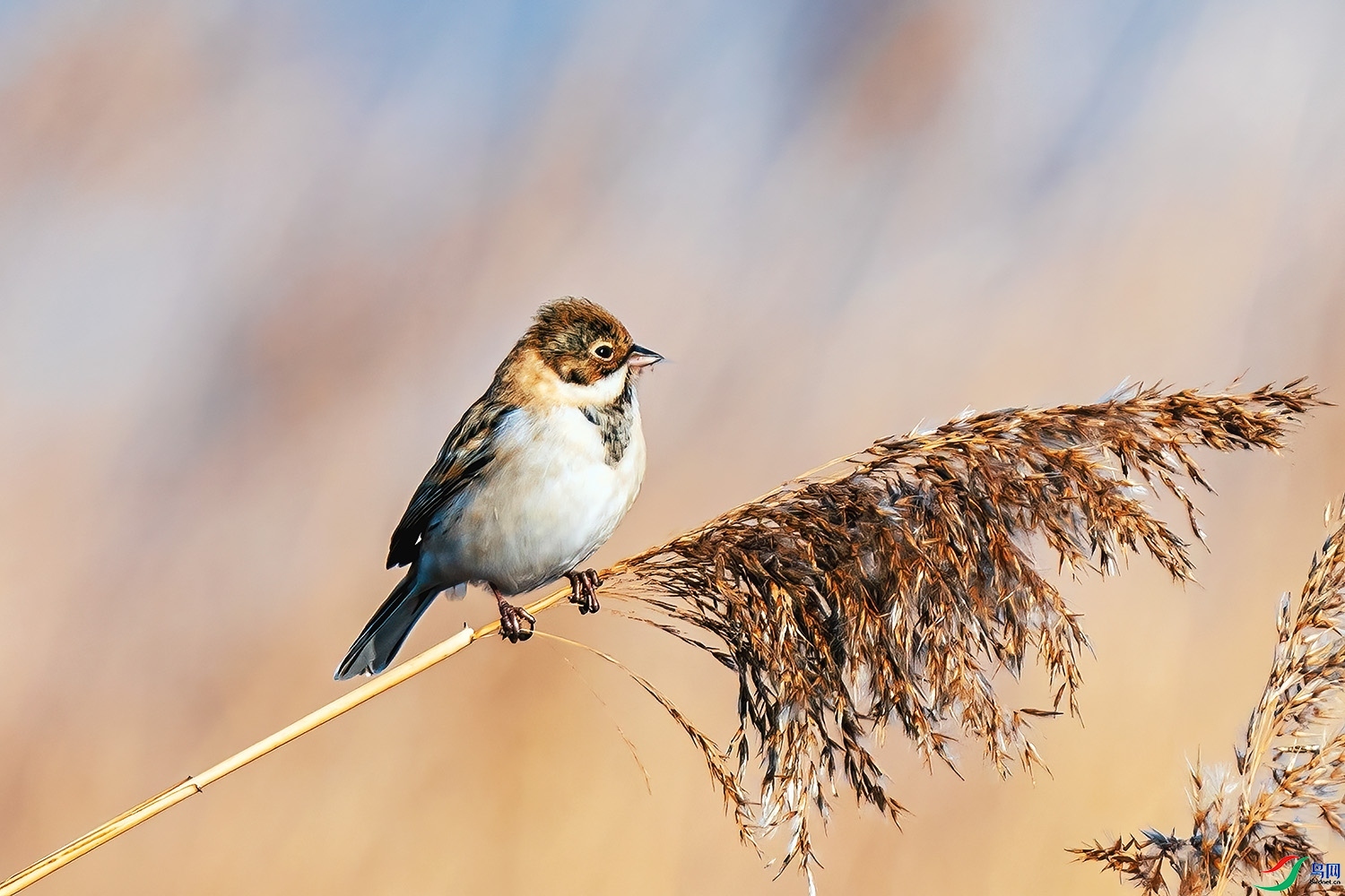 �����  ��ʦ�����ڱ�����������.jpg