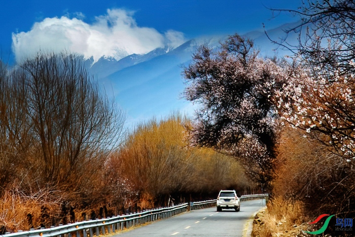 AX7A9058-2 ����-2.jpeg