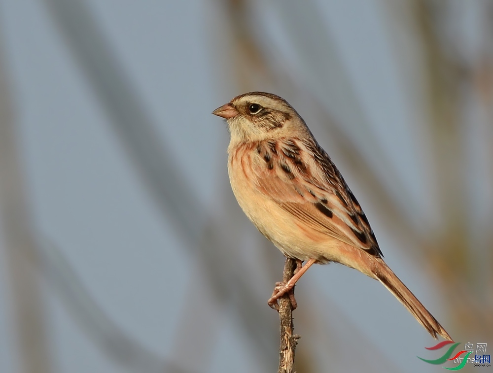 ˾ͽ����  ��ʦ�����ں���ʡ������.jpg