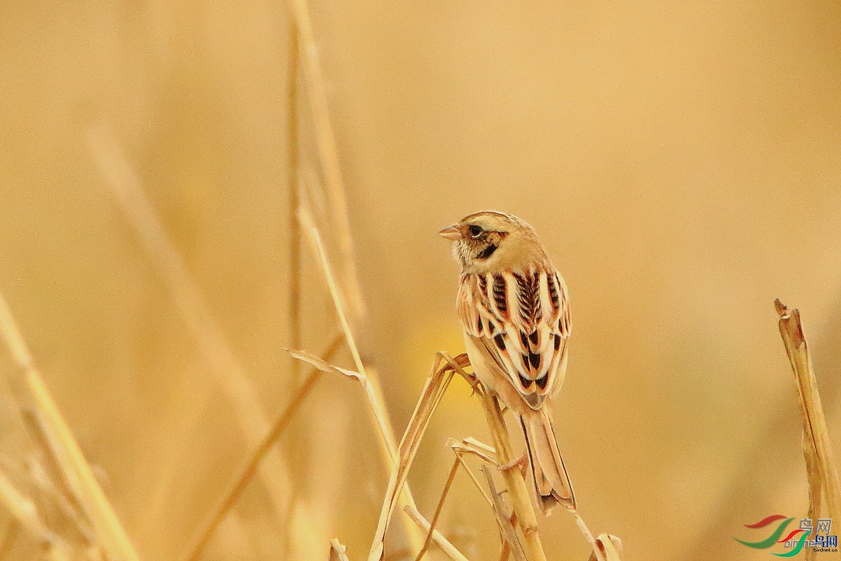 ����ͷ��  ��ʦ����.jpg