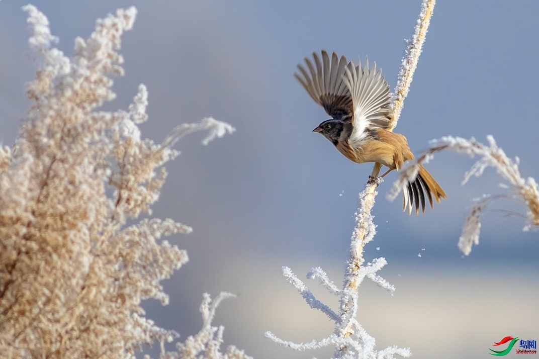 Ұâ  ��ʦ����������ʡ �����б�����.jpg