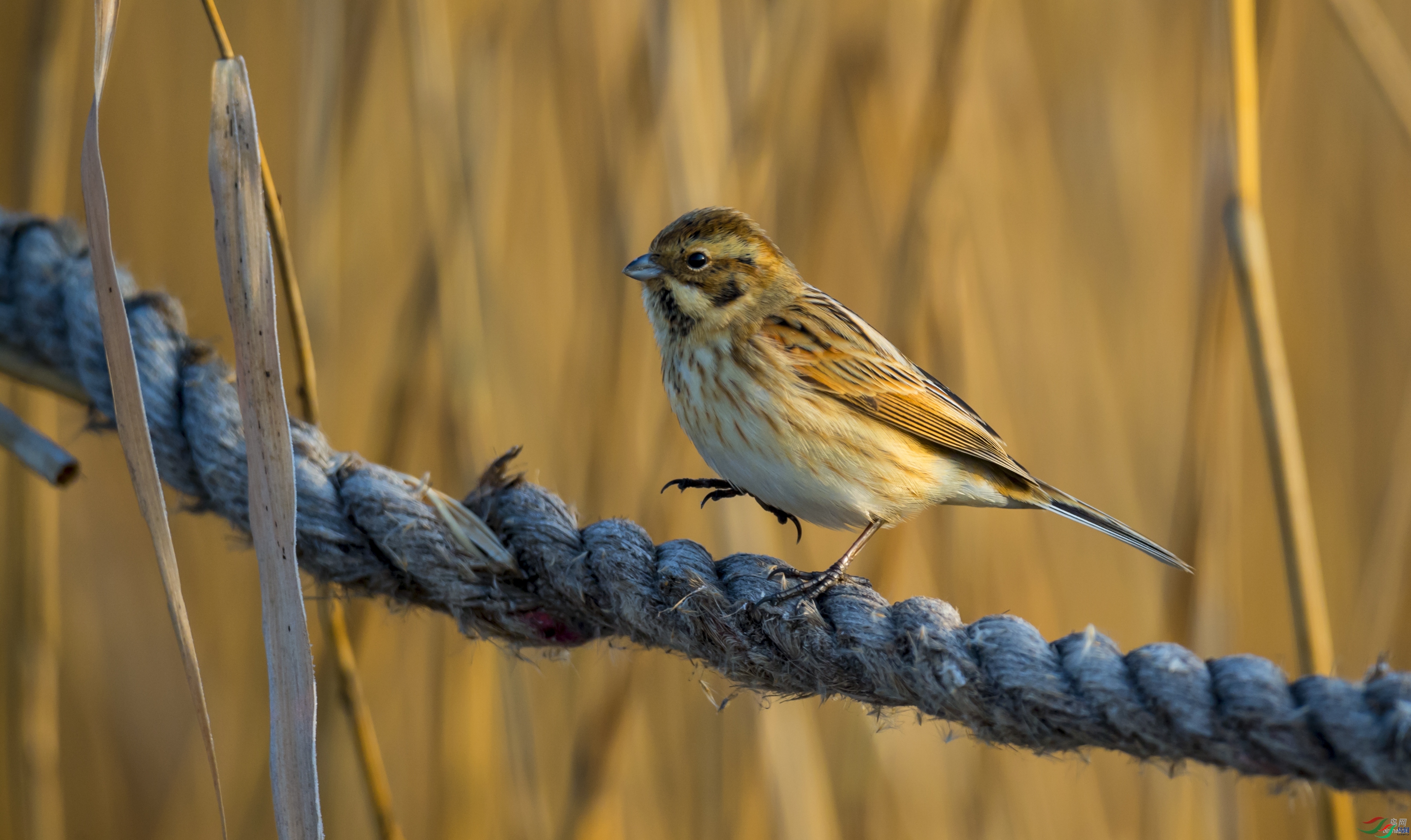 ������  ��ʦ�����ںӱ�ʡ��ɽ����ͤ.jpg