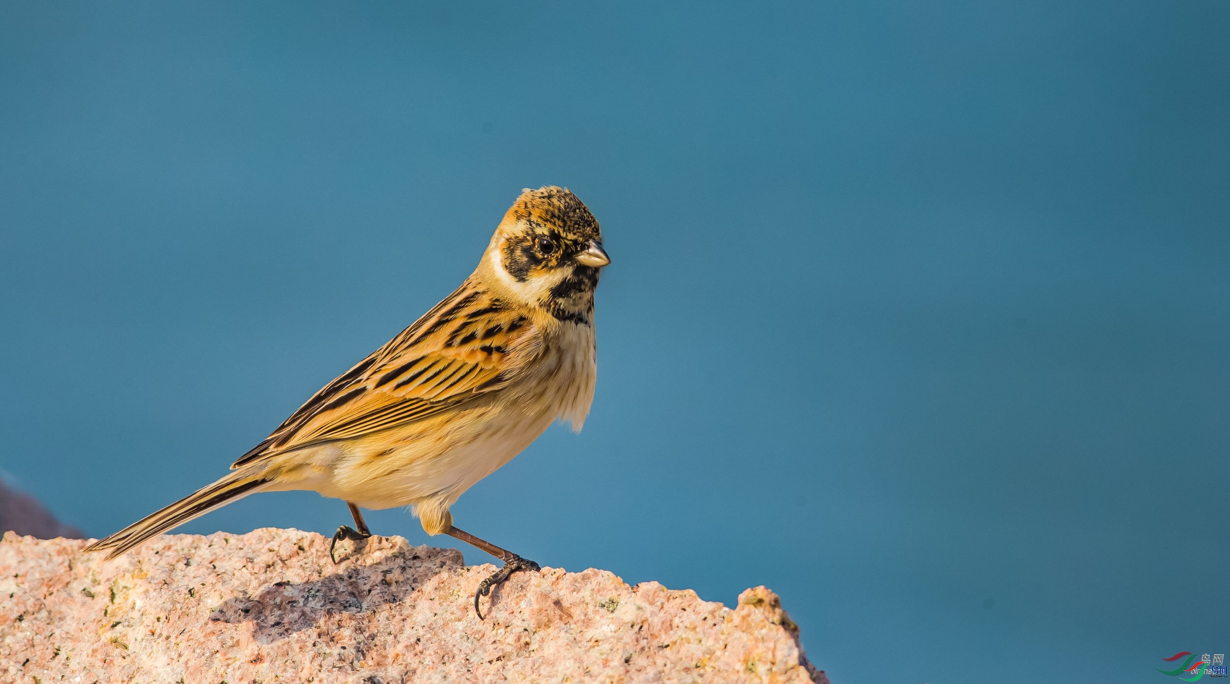 �����~�춣��  ��ʦ������ɽ��ʡ�ൺ��.jpg