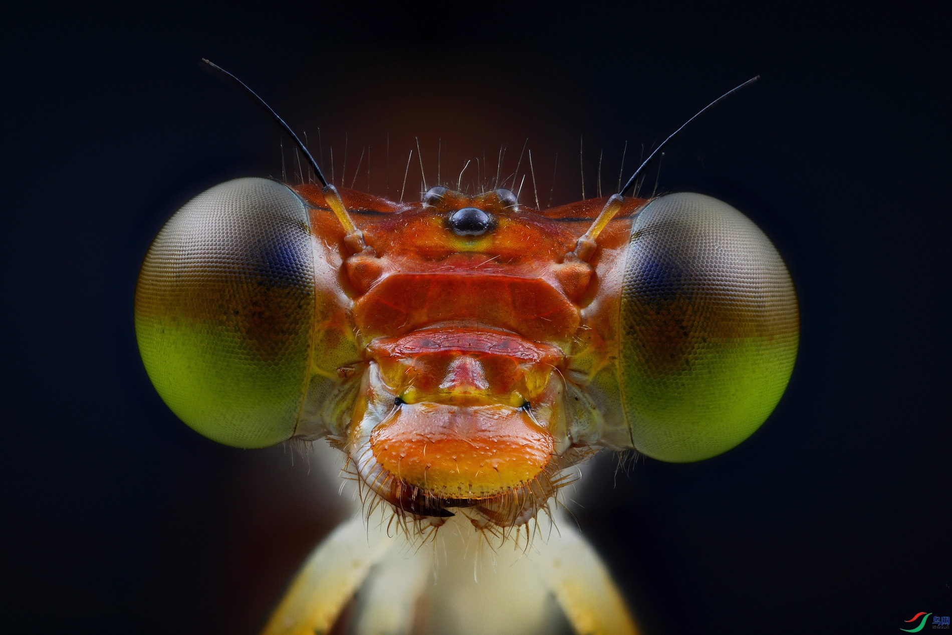 2022-04-19 20-23-00 (C,Smoothing4)-0-1.jpg