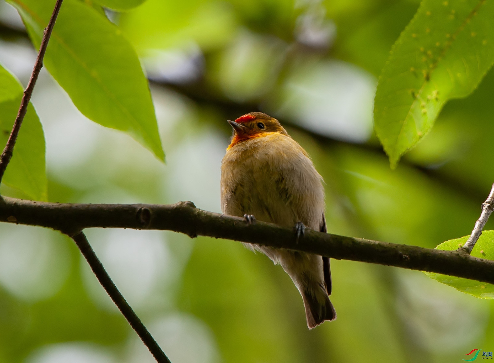 D3S_0351.jpg