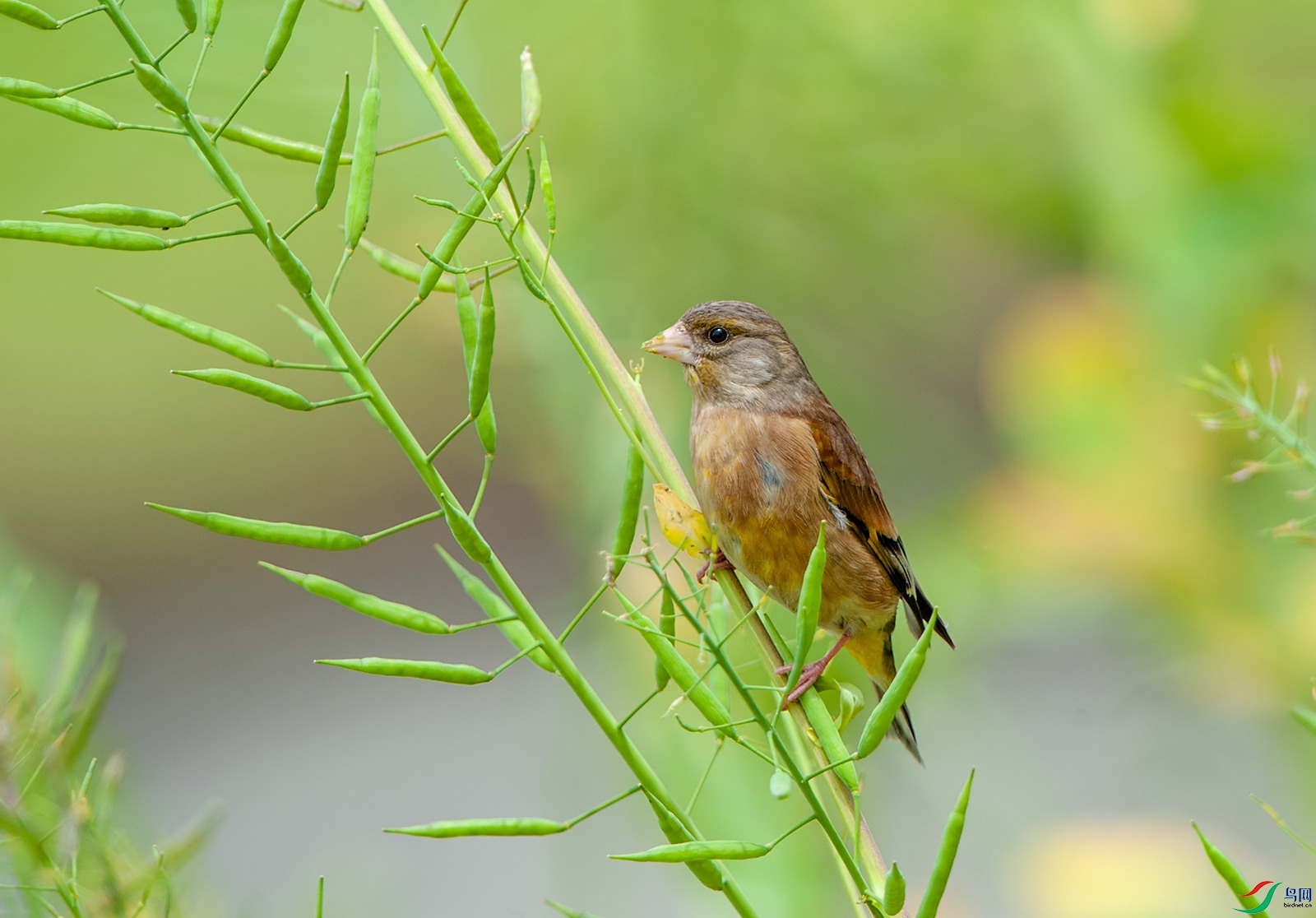 D3S_0481.jpg