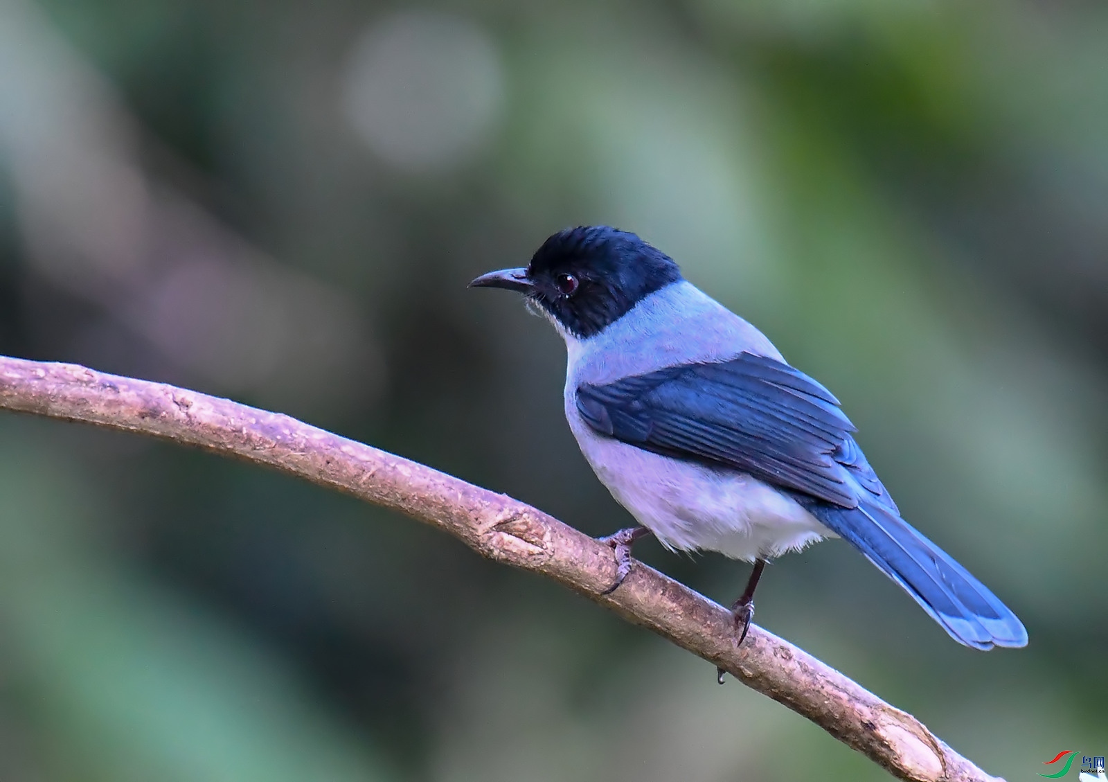 DSC_0119.jpg