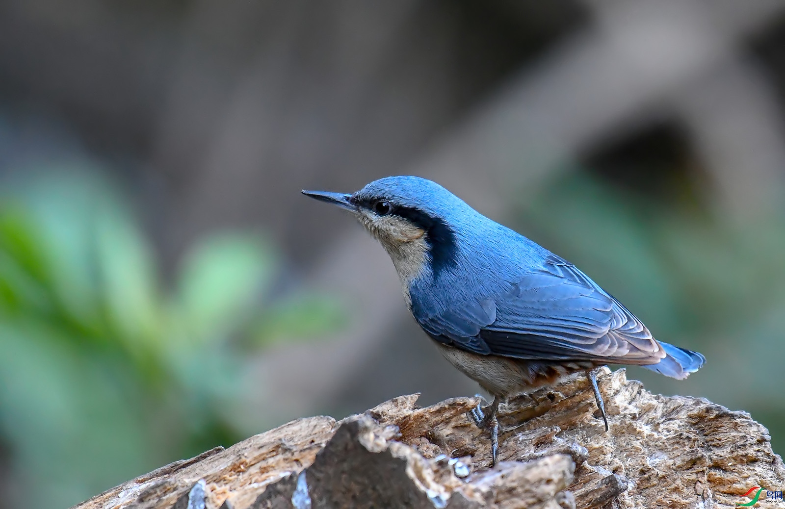 DSC_0154.jpg