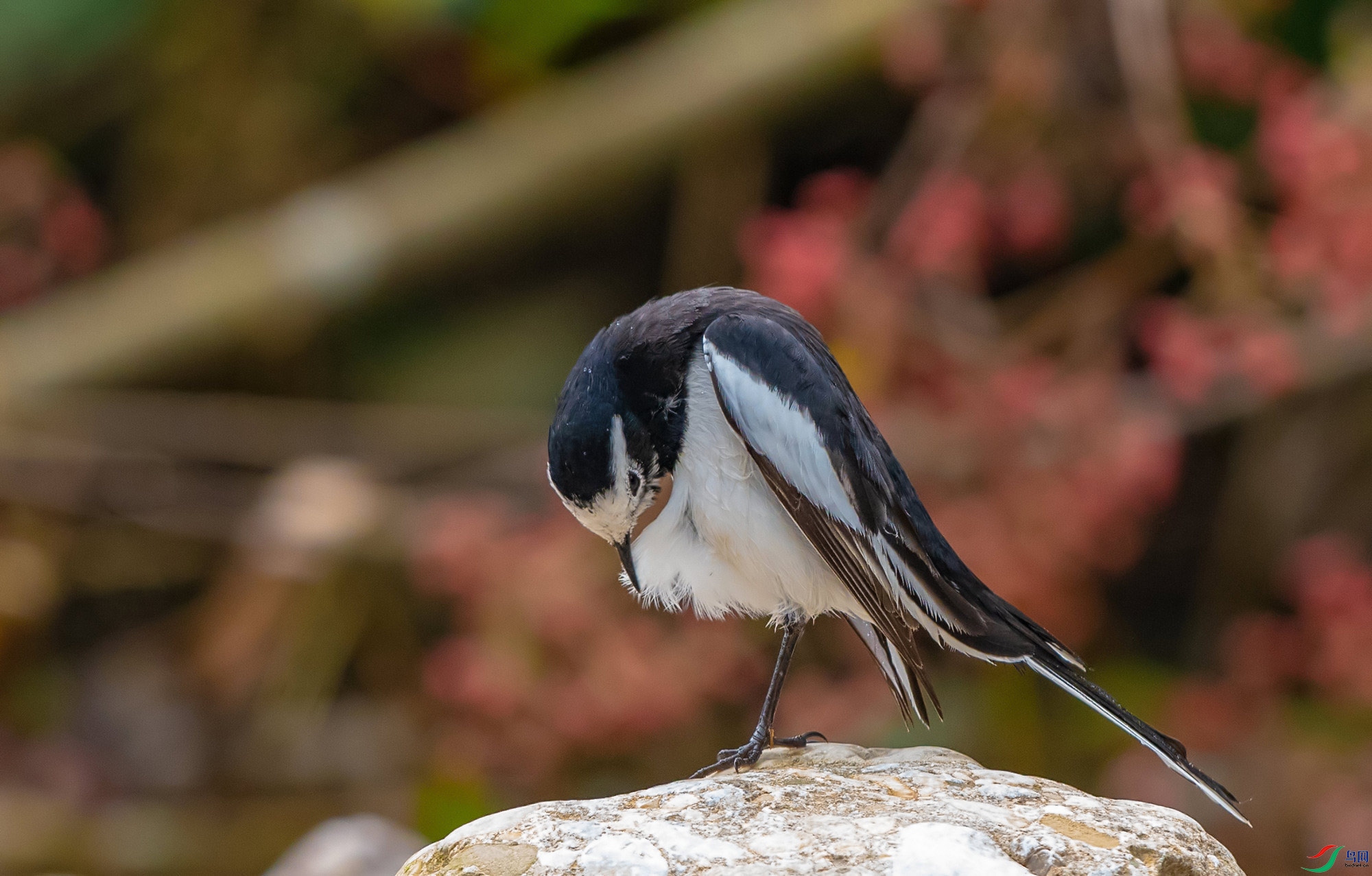 DSC_0760.jpg