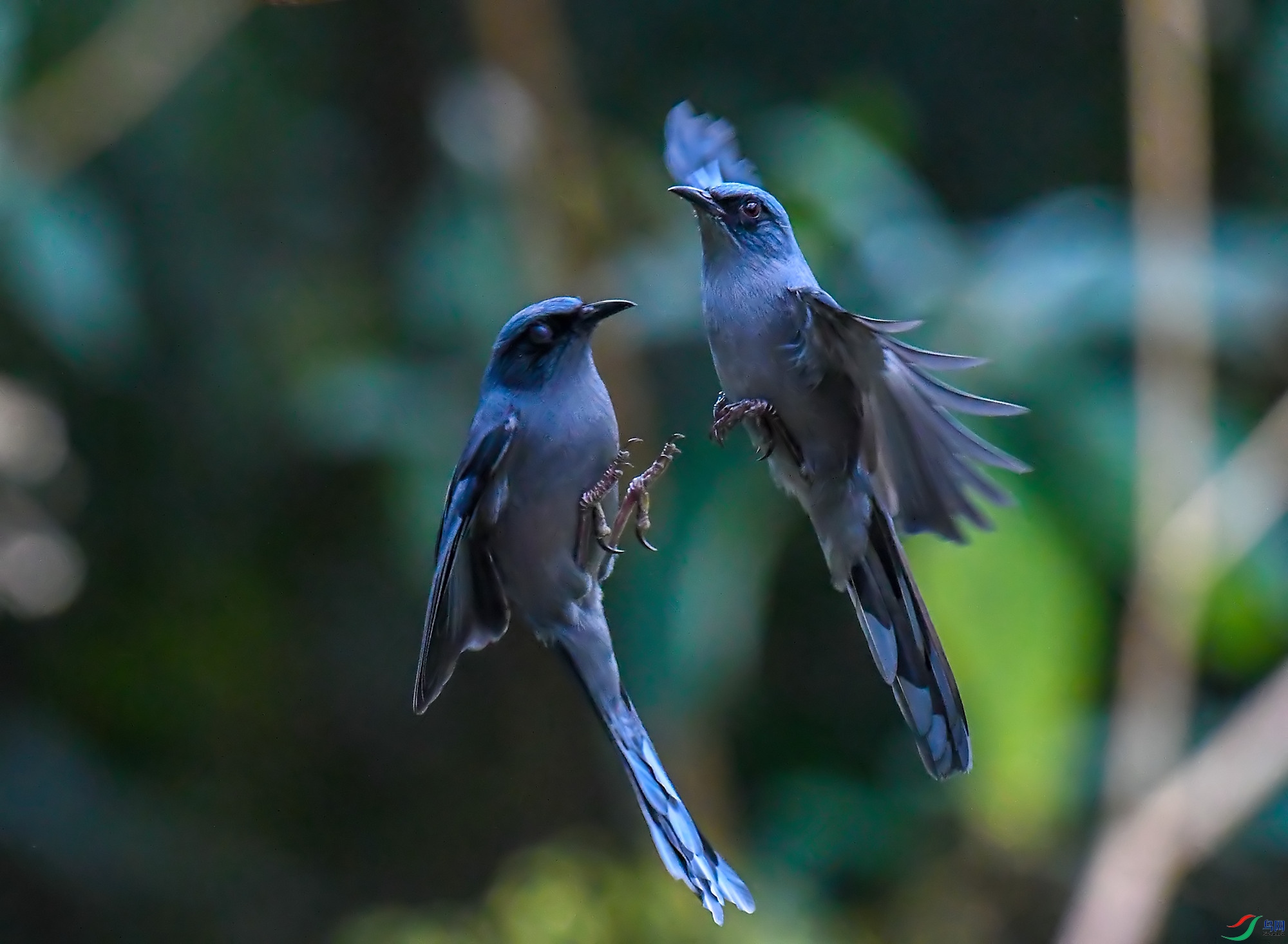 DSC_0780.jpg
