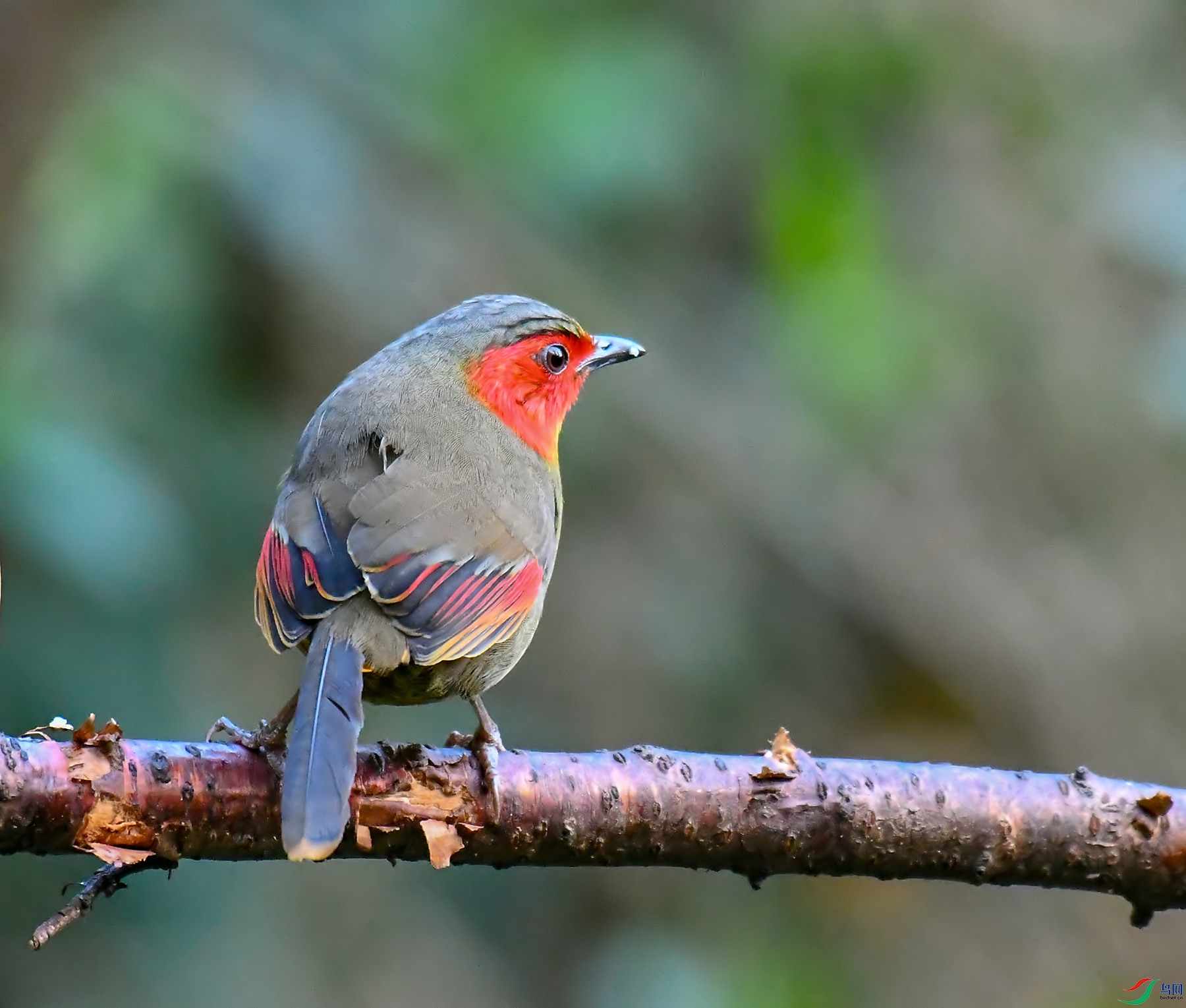 DSC_1086.jpg