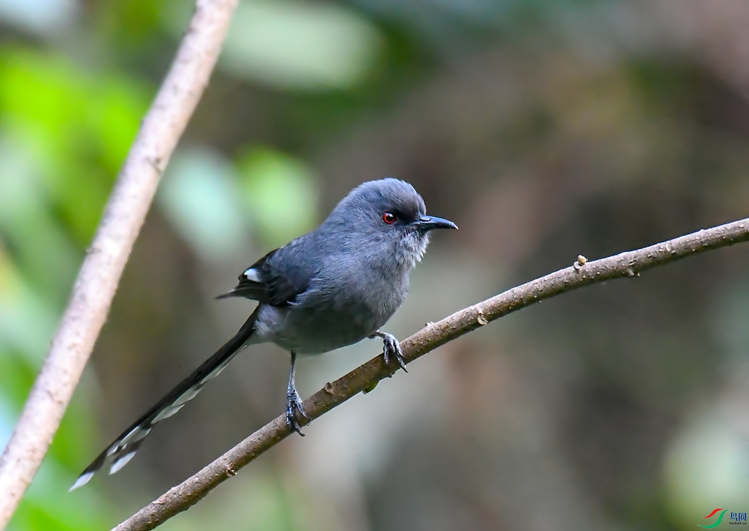 DSC_1108.jpg