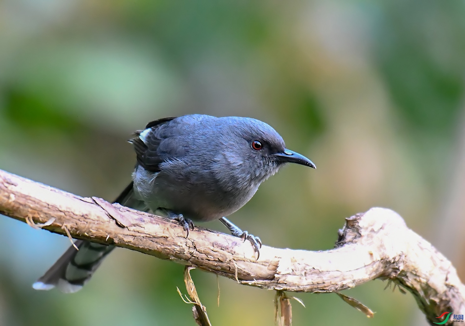 DSC_1112.jpg