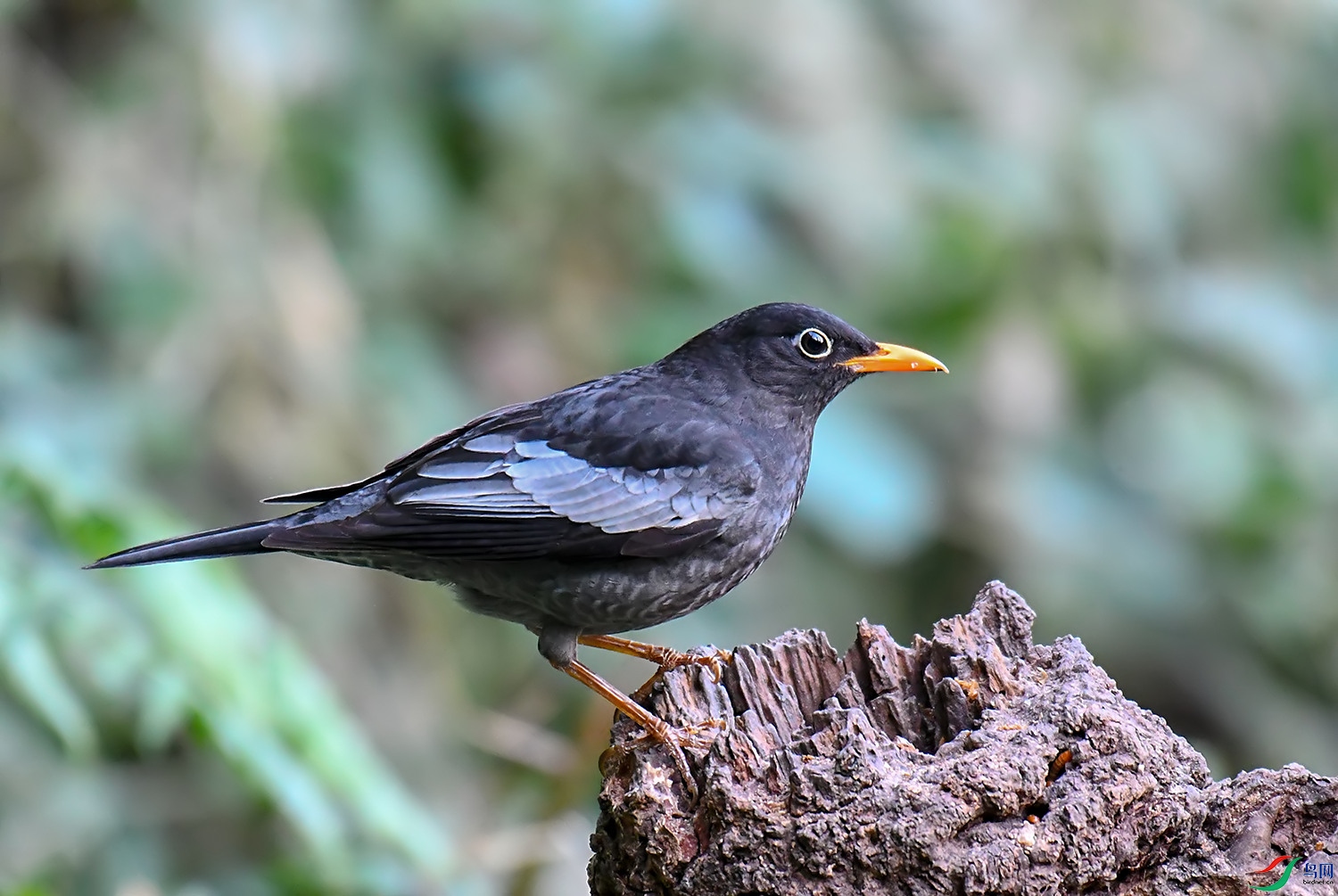 DSC_1116.jpg