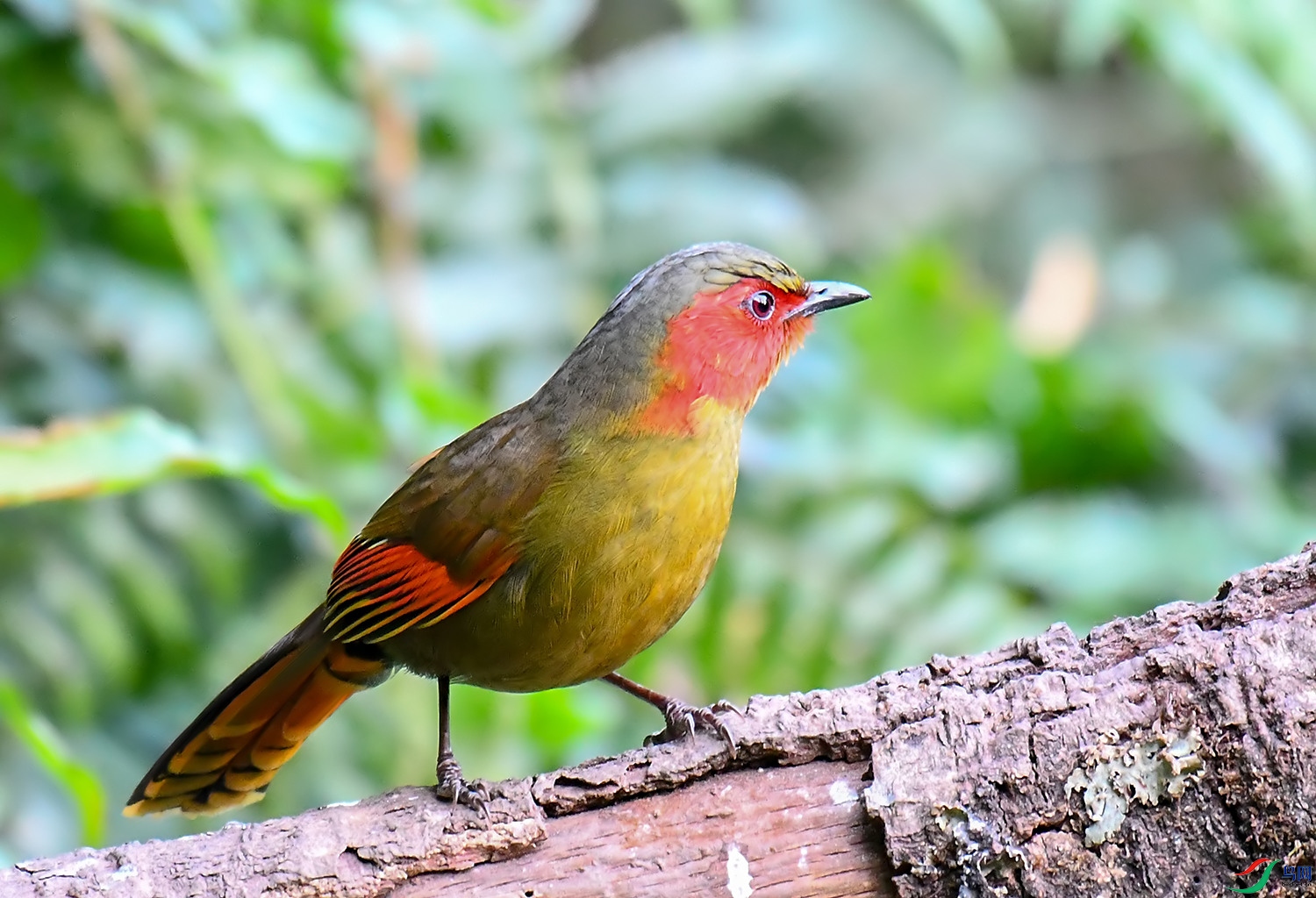 DSC_1169.jpg