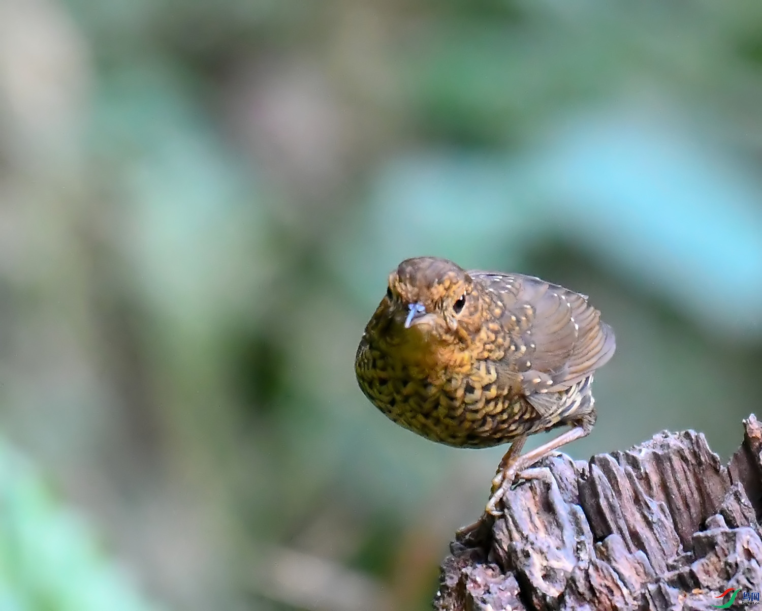 DSC_1209.jpg