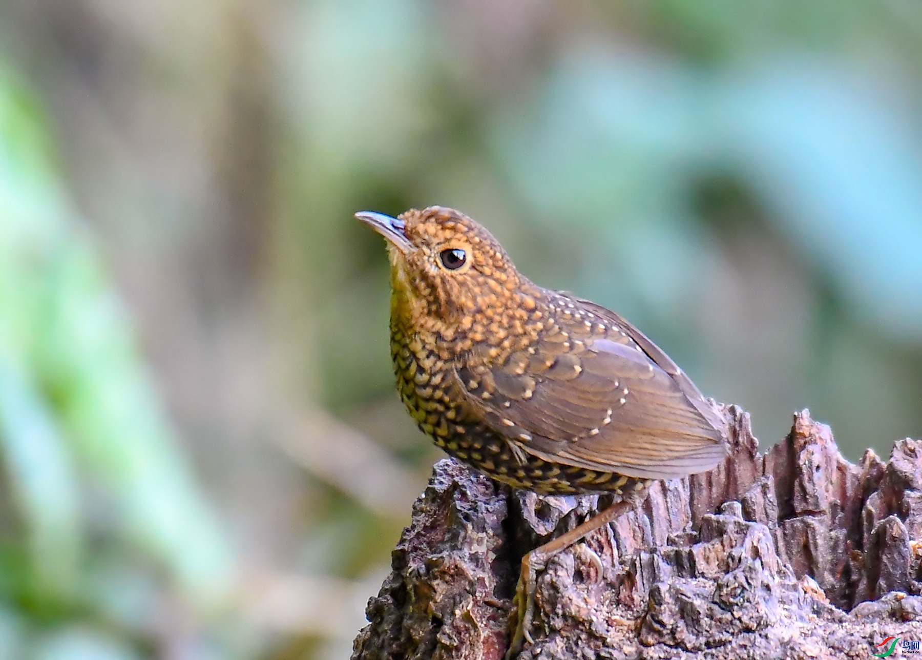 DSC_1259.jpg