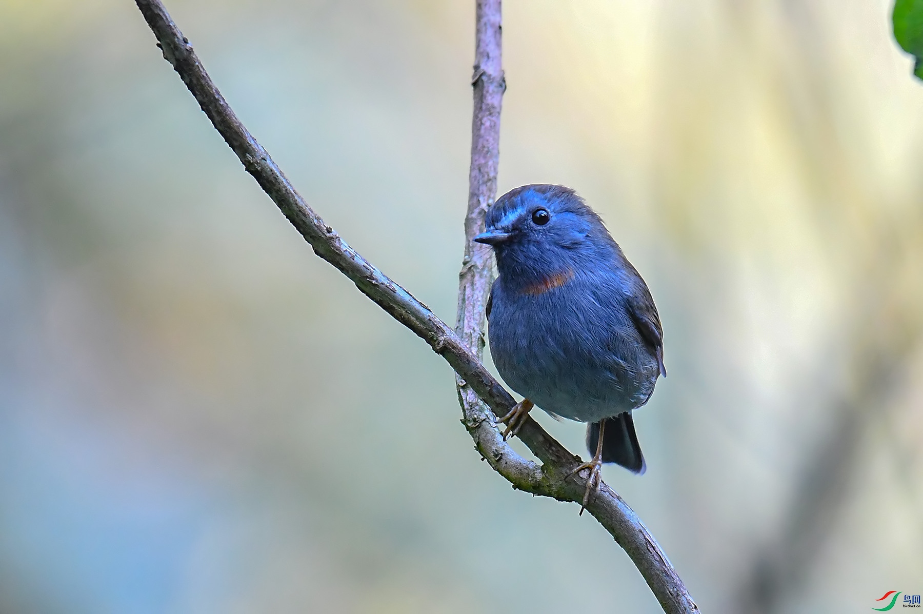DSC_1392.jpg
