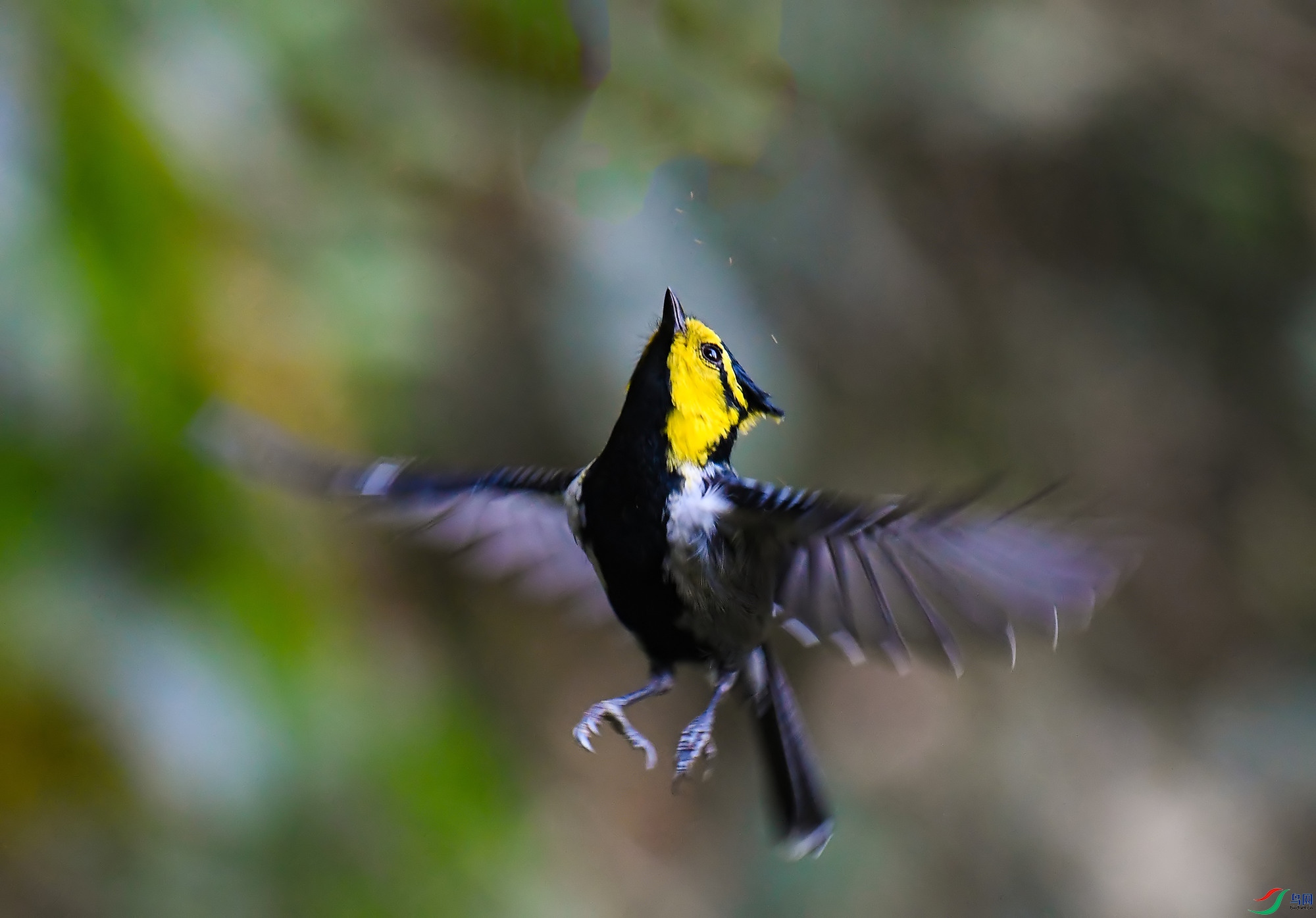DSC_1379.jpg