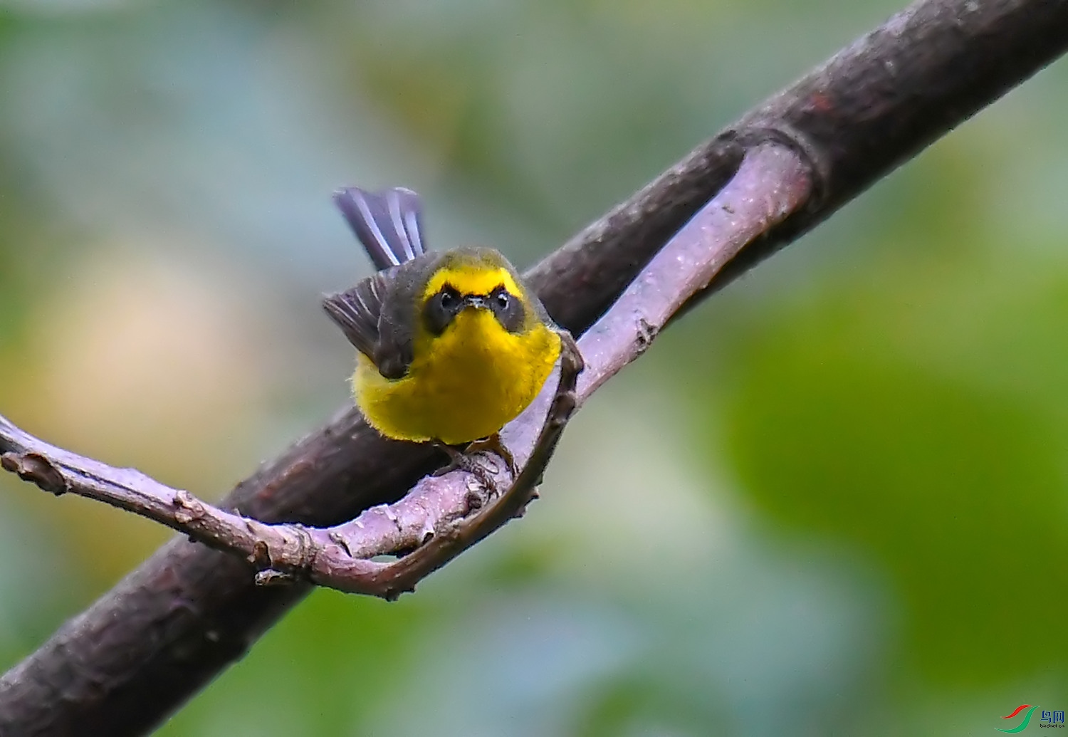 DSC_1514.jpg