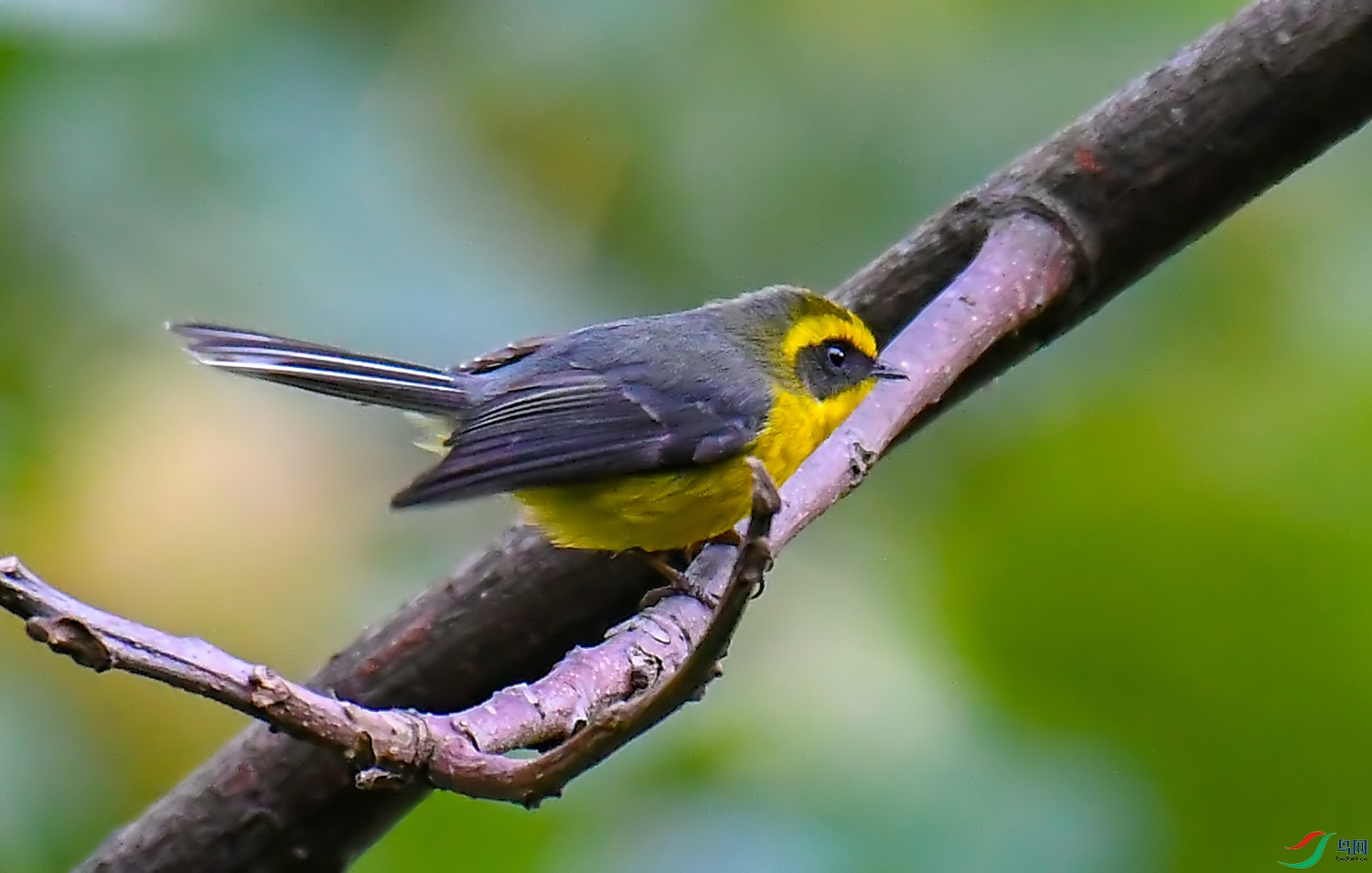 DSC_1498.jpg