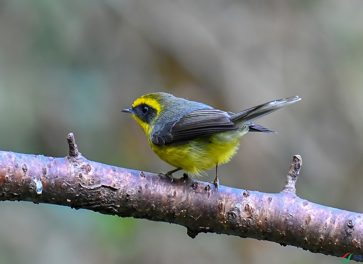 DSC_1576.jpg