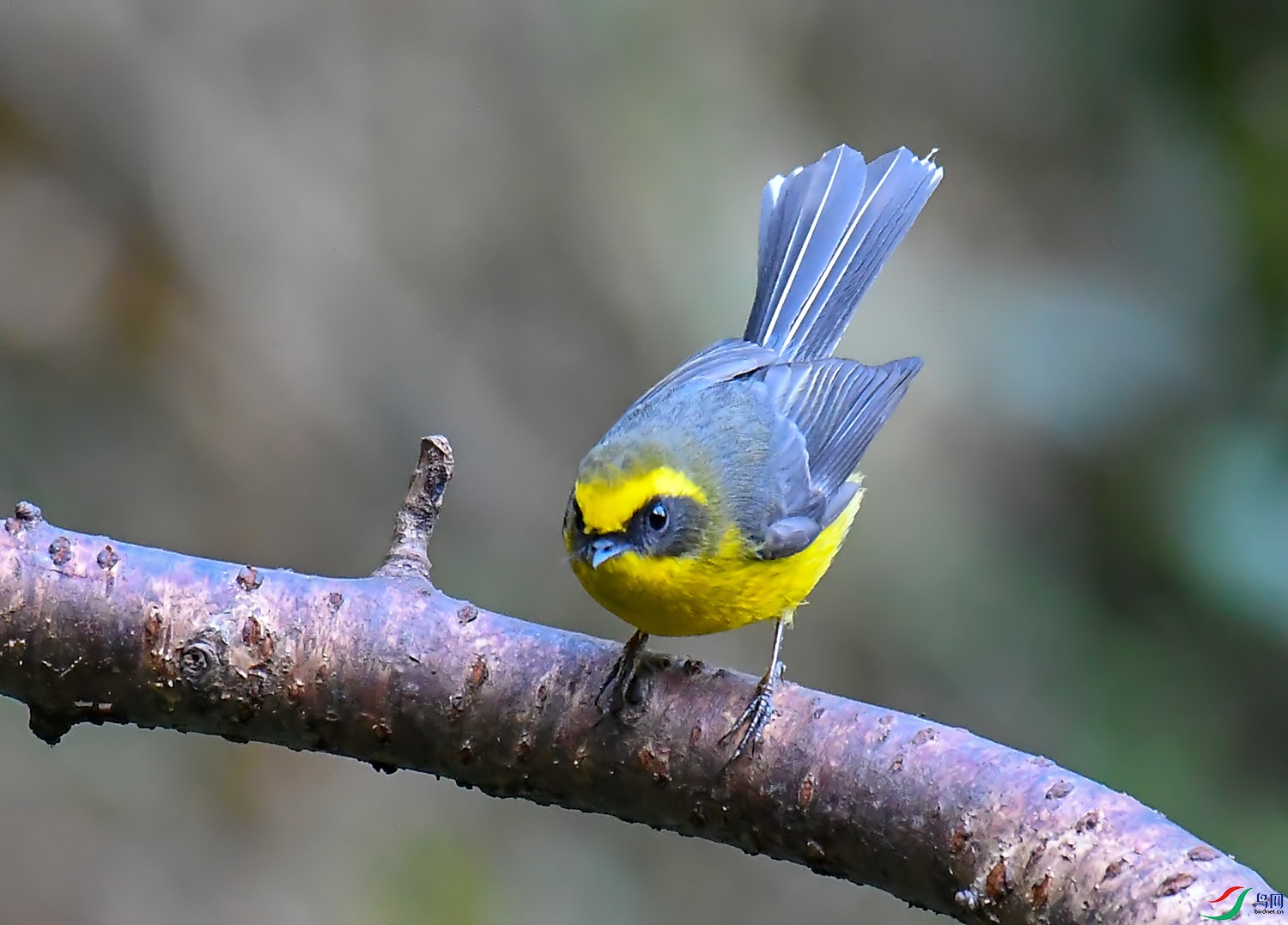 DSC_1569.jpg