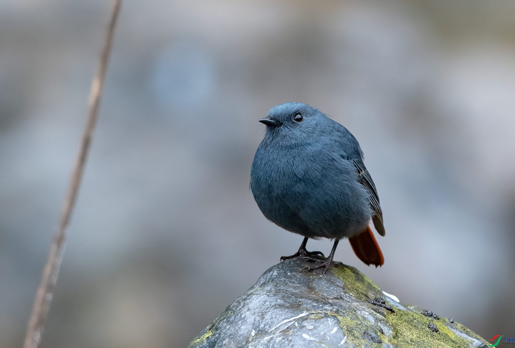 DSC_1628.jpg