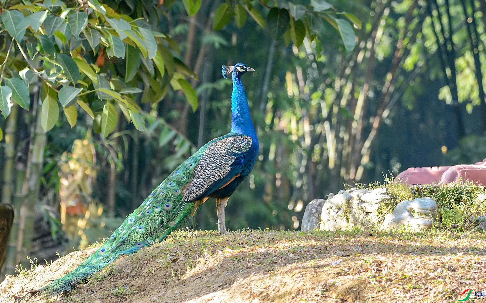DSC_5983.jpg