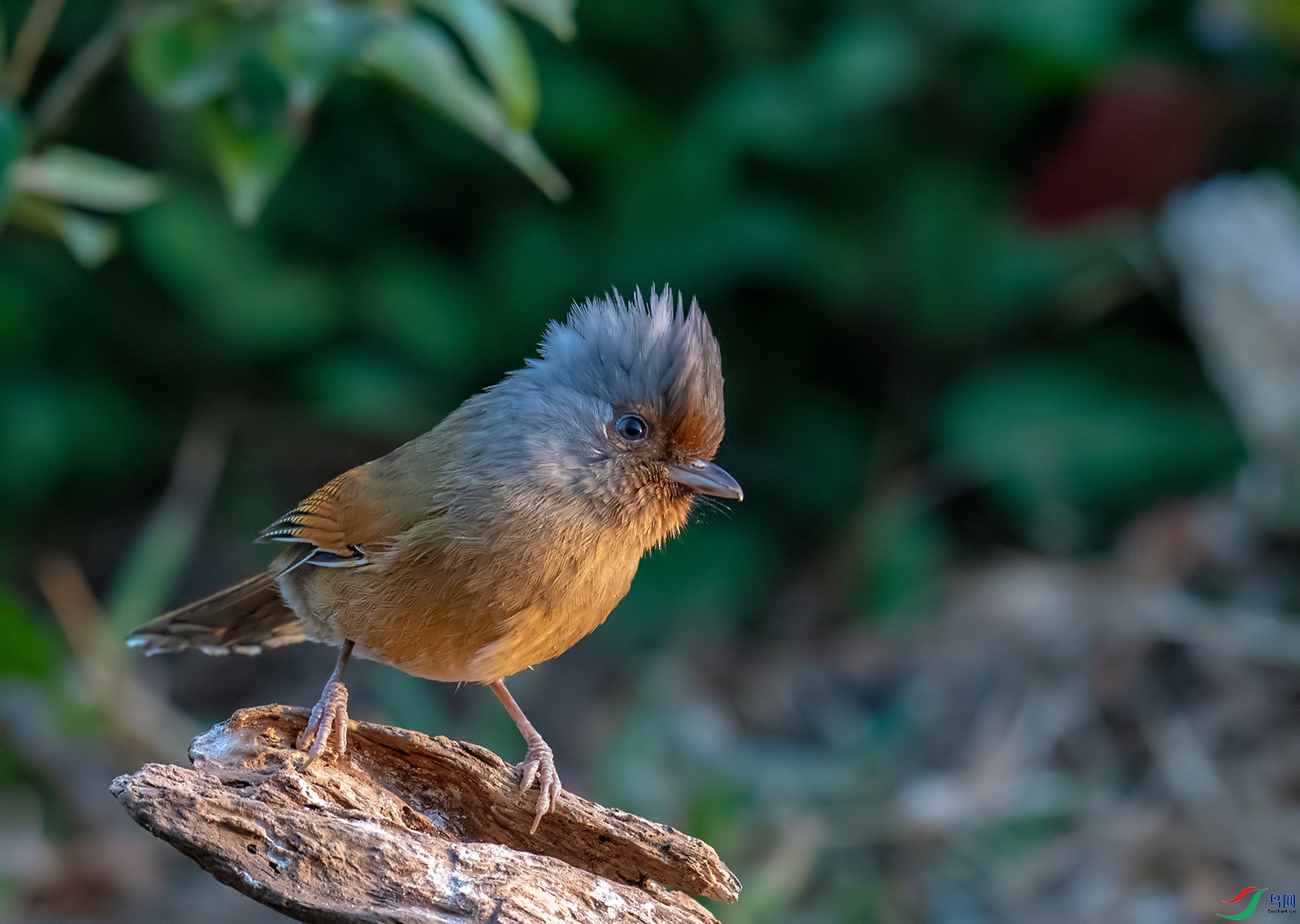 DSC_5997.jpg
