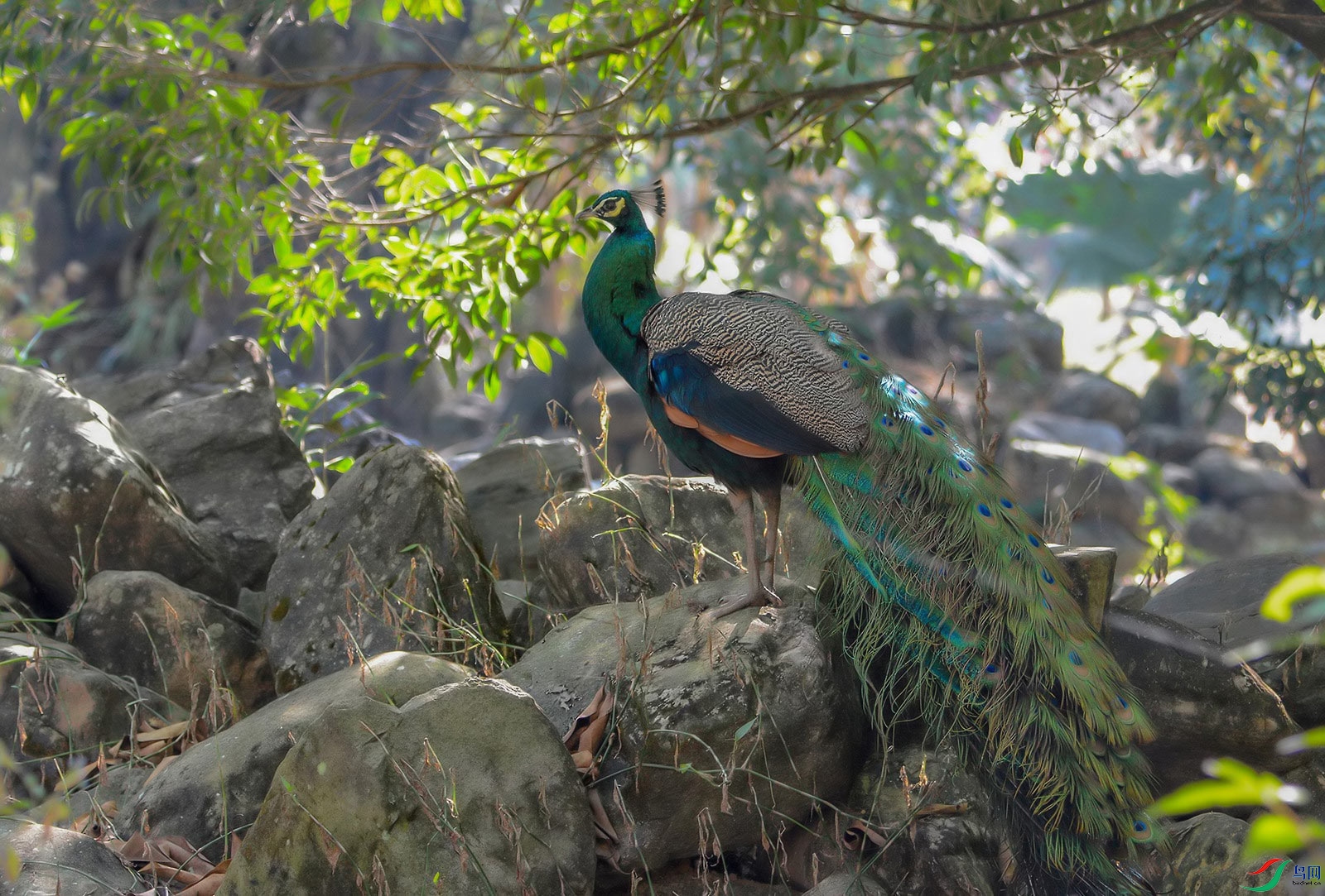 DSC_6042.jpg