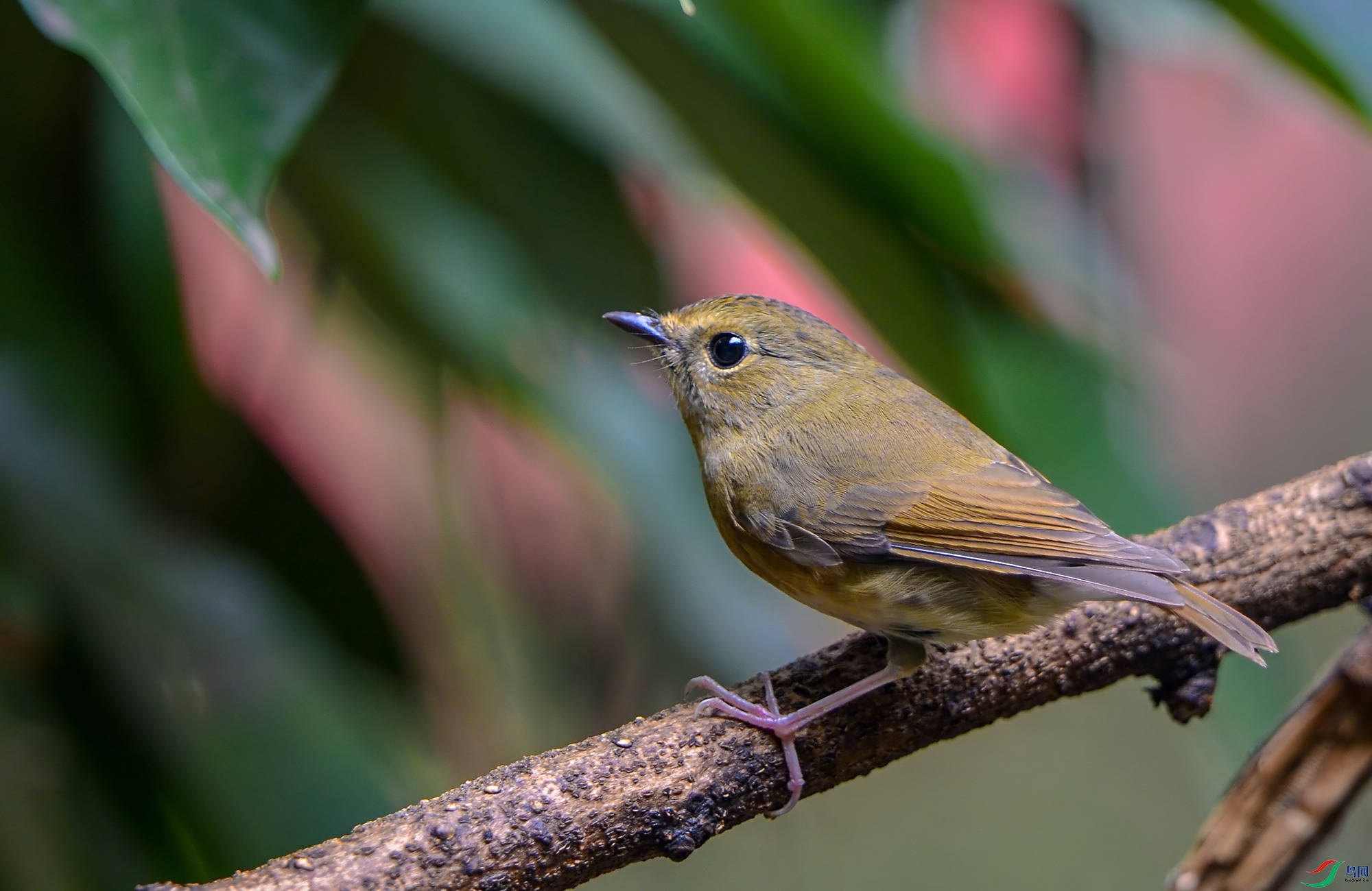 DSC_6109.jpg